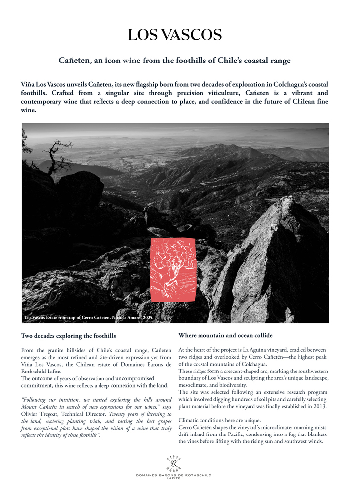 Cañaten by Los Vascos Product Profile