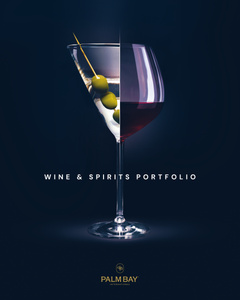 PBI Portfolio Book JUNE 2026