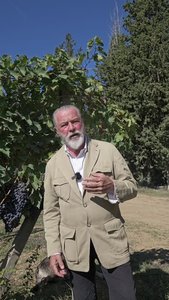 Brunello 2021 Intro with Count Cinzano.mp4