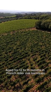 Famiglia Zingarelli Roccato (English + subtitles)