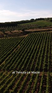 Famiglia Zingarelli Sergio Zingarelli CC Gran Selezione (English + subtitles)