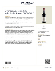 Marchesi Fumanelli Octavius Amarone della Valpolicella Riserva DOCG 2017 - Tech Sheet