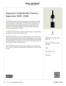 Marchesi Fumanelli Squarano Valpolicella Classico Superiore DOC 2018 - Tech Sheet