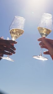 New Rules of Champagne_Pairings.mp4