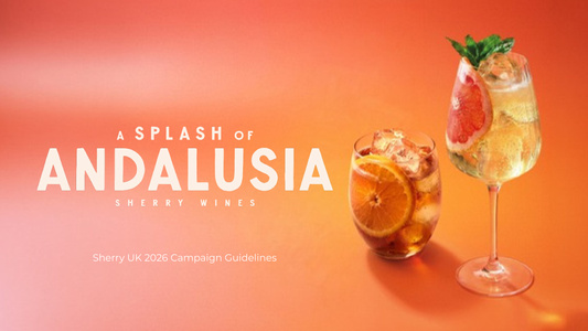 Splash of Andalusia - Brand Guidelines.pdf