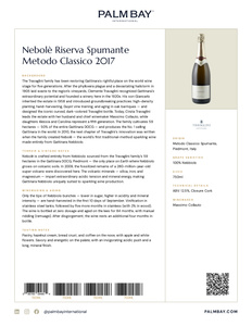 Travaglini Nebolè Riserva Spumante Metodo Classico 2017 - Tech Sheet